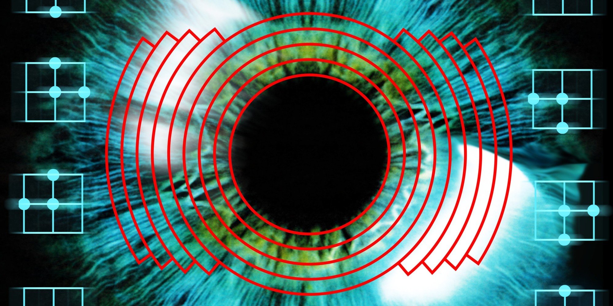 Electric Circuit Board